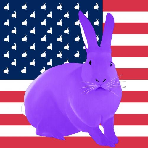 LAVANDE FLAG rabbit flag Showroom - Inkjet on plexi, limited editions, numbered and signed. Wildlife painting Art and decoration. Click to select an image, organise your own set, order from the painter on line